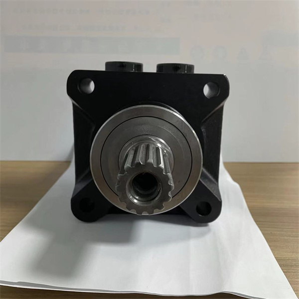 擺線(xiàn)液壓馬達
